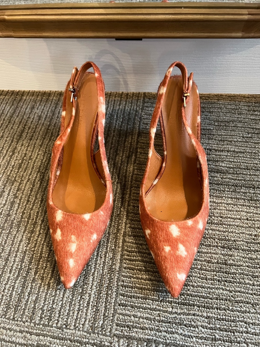 Women's Pointed Slingback Pumps in Rust Spot Print